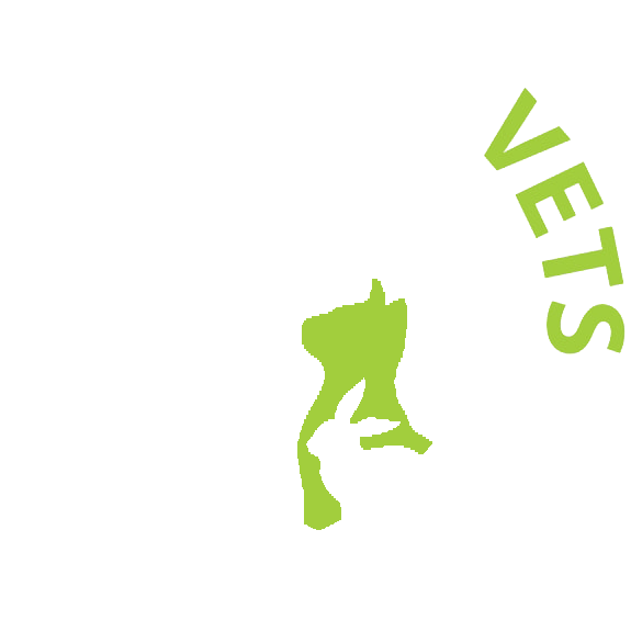 Churchview Vets Logo
